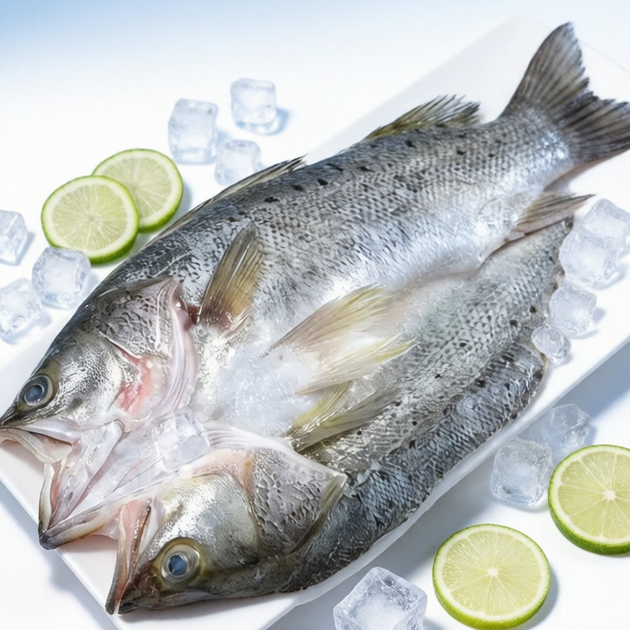 Fresh Sea Bass