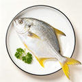 Whole yellowfin sea bream on a white plate
